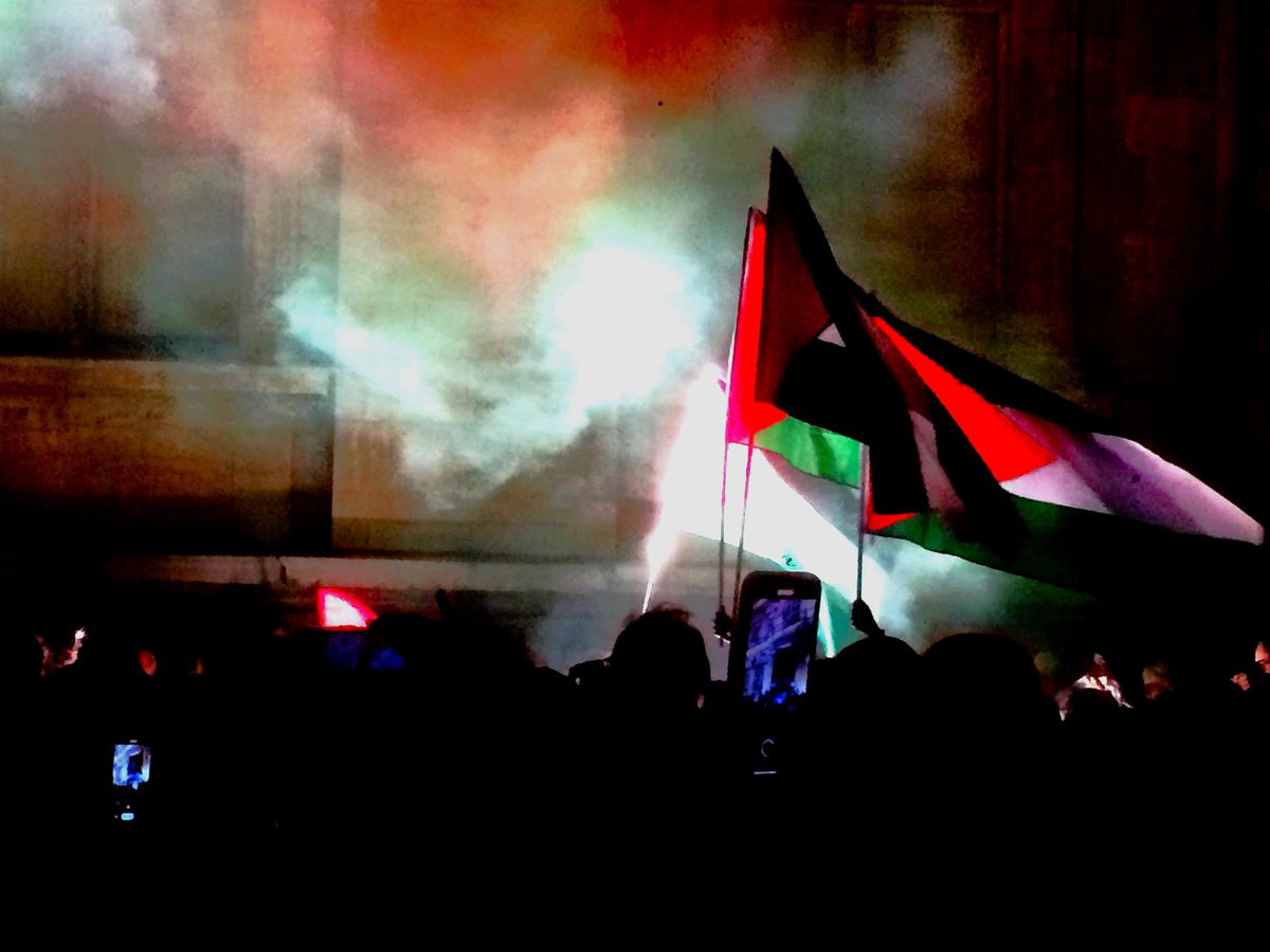 Cessez le Feu !!!!!
Manifestation de soutien au peuple palestinien à Lyon vendredi 10 novembre 2023