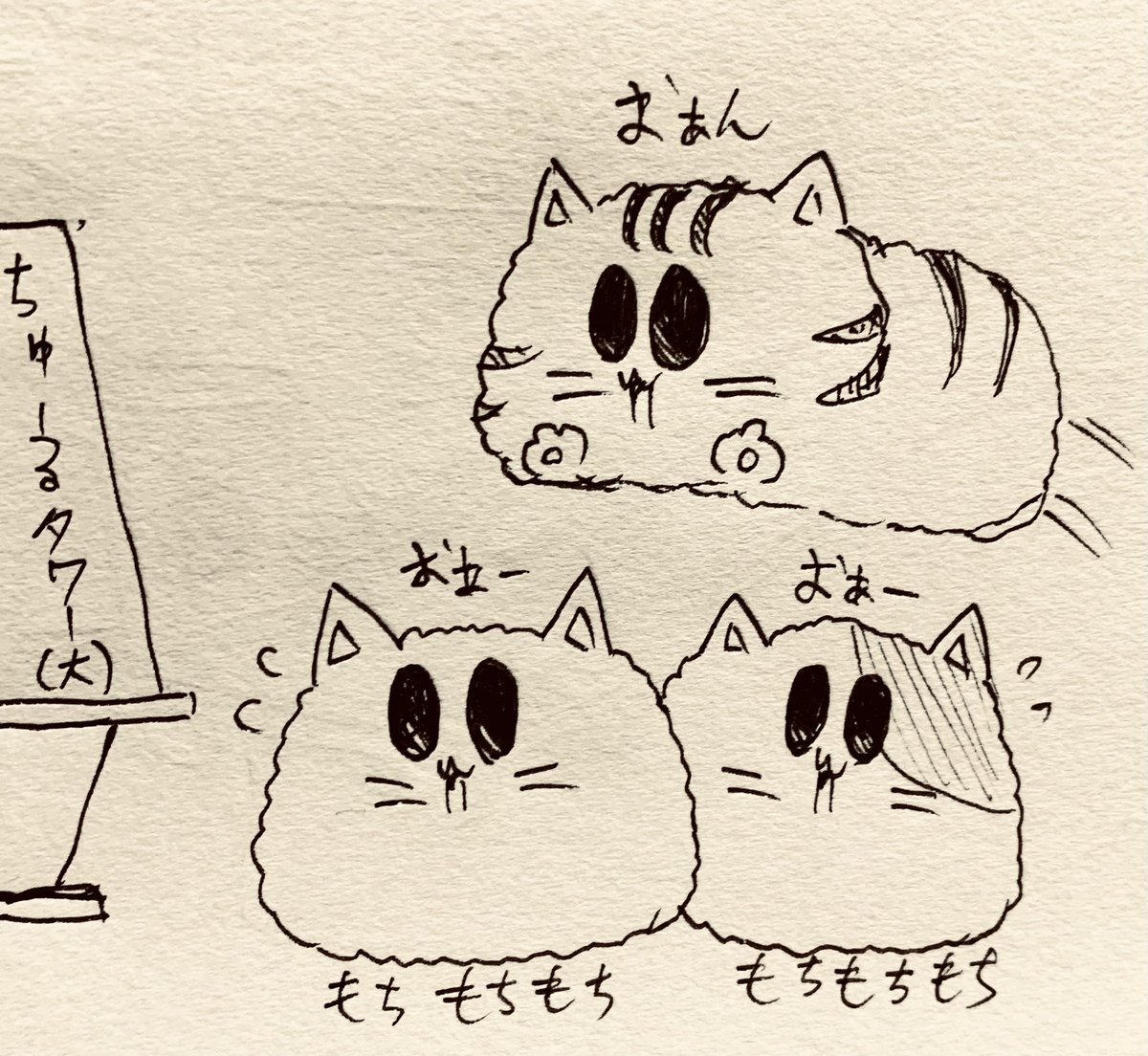 もち猫さんも三匹で頑張る🐈 