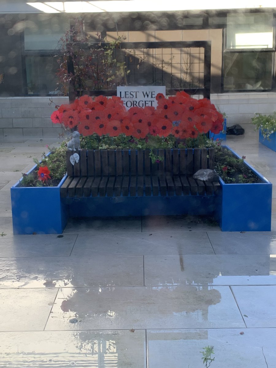 We will remember them ❤️ #ArmistaceDay #WeWillRememberThem #LestWeForget2023 #Poppies #RemembanceDay