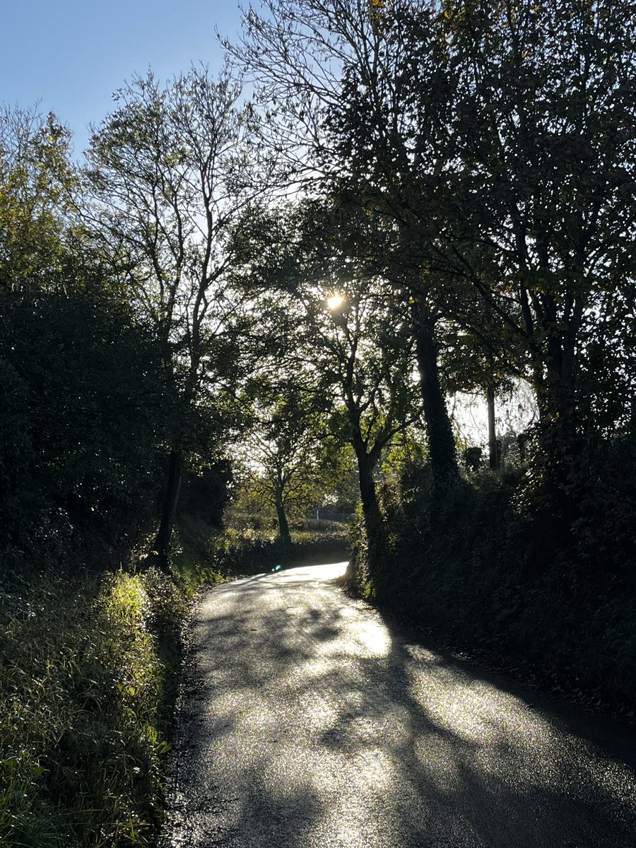 On my way to crew the Agriculture stand for another Harper Adams open day. Lovely morning for a visit to us!
