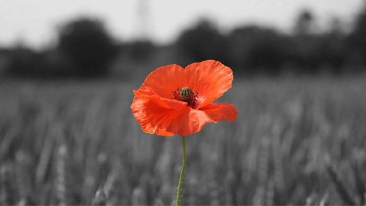 At the going down of the sun and in the morning, we will remember them 🙏
