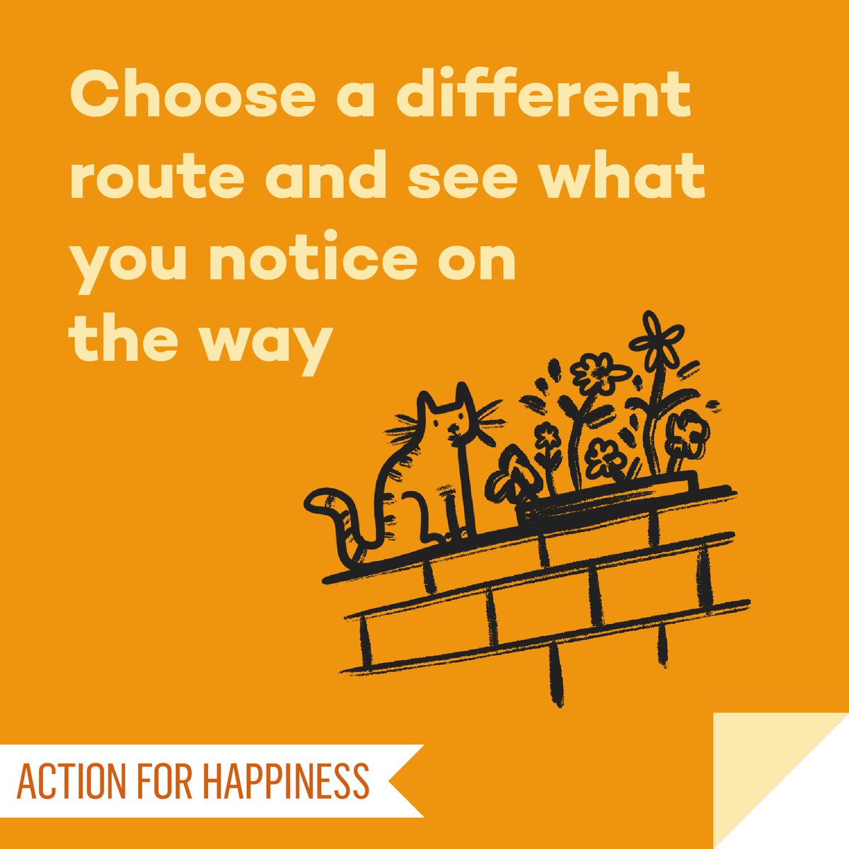 New Ways November - Day 11: Choose a different route and see what you notice on the way actionforhappiness.org/new-ways-novem… #NewWaysNovember