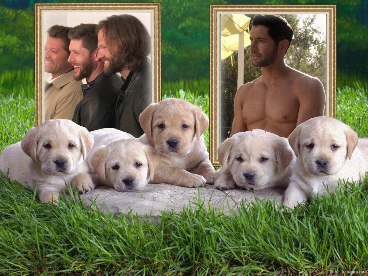 <a href="/GRITSSPNFAM1/">Lynn Cummings #FurBaby 🐶Mom &Family Caregiver</a> <a href="/orangecatcher/">Heather ⛅ Dean of knives 🗡️</a> <a href="/virtue2/">Pam R</a> <a href="/TXTransplant45/">NancIIIIEEE😁♿️🏋🏻‍♀️🍕🐾</a> 
𝒢𝑜𝑜𝒹 ᴅᴀʏ 𝖙𝖔 𝕪𝕠𝕦 🄼🅈 𝖿𝗋𝗂𝖾𝗇𝖽𝗌 ꪖ᭢ᦔ єиנσу y͒o͒u͒r͒ w♥e♥e♥k♥e♥n♥d♥