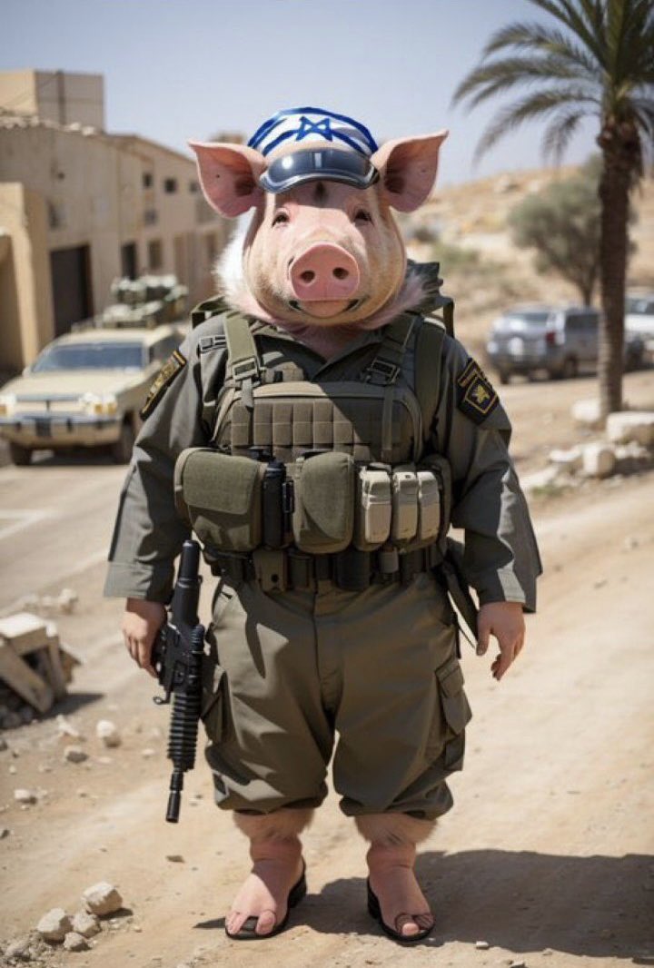 Kamal_Chomsky's tweet image. بعد لقب #قتلة_الانبياء الذي استحقه اليهود بجدارة على مر التاريخ.
#إسرائيل وبعد #طوفان_الأقصى تستحق لقب #قتلة_المرضى، #قتلة_الاطفال #قتلة_الخدج #قاصف_المستشفياب
#غزة_تُباد #غزة_تنتصر