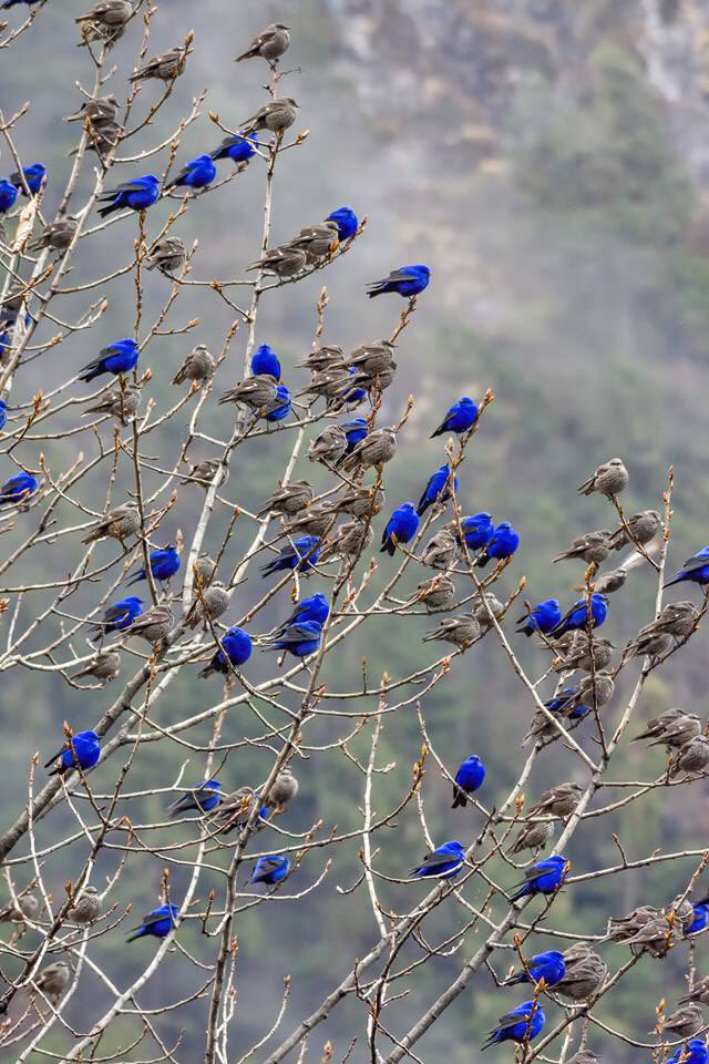 سارا قنواتی tweet media