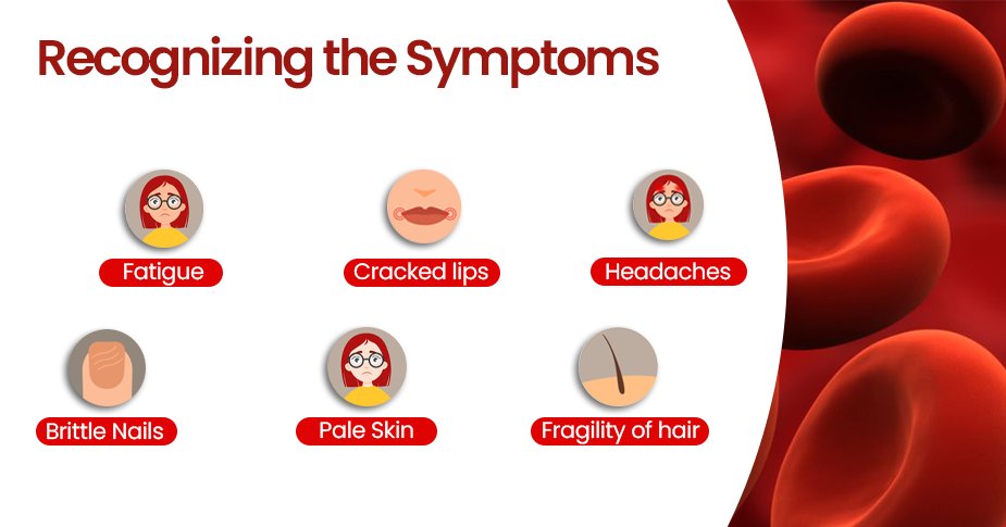 pharma_matrix's tweet photo. Iron deficiency anemia is a common condition that can cause fatigue, shortness of breath, and other symptoms. 

Learn more about the causes, symptoms, treatment, and prevention of iron deficiency anemia in this article.

https://t.co/kfoQMMuzEw
.
.
.
.
#MatrixPharma https://t.co/QaFd52X3h7