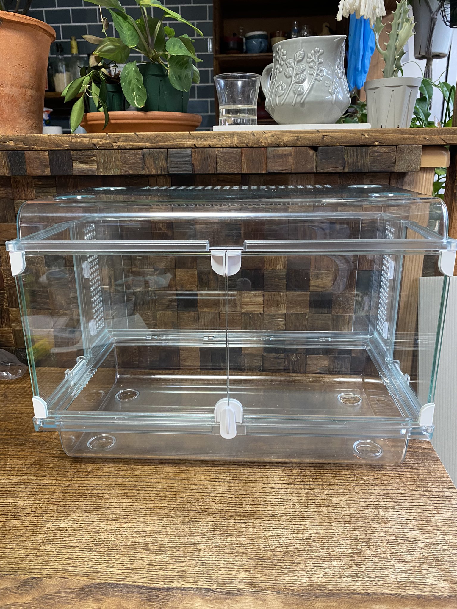 爬虫類レイアウト用品　グラスハーモニー レオパ初心者】ヒョウモントカゲモドキ飼育ケージ紹介（グラス