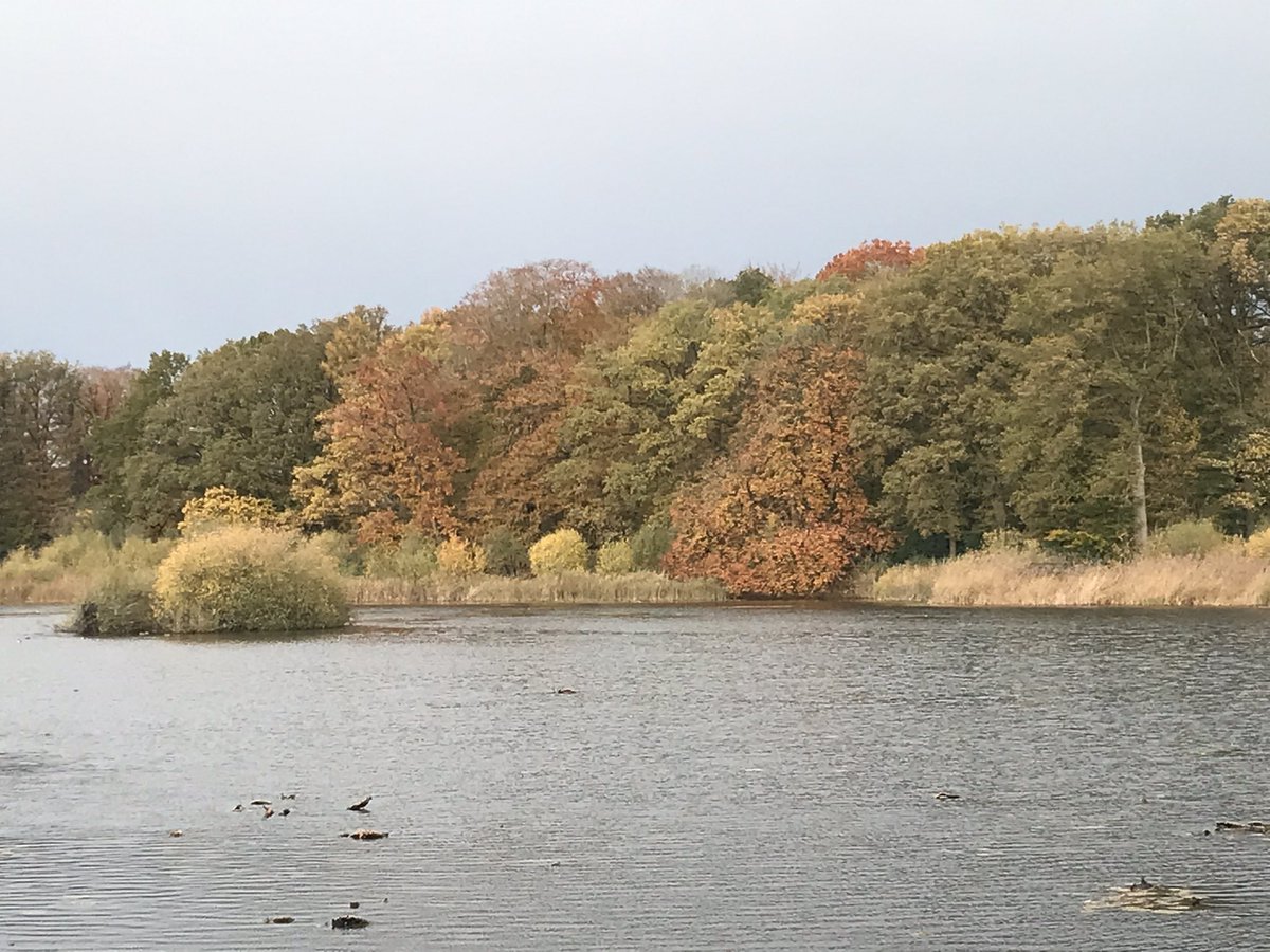 Lonnekermeer (tussen Hengelo en Oldenzaal) vanochtend. Niet voor te stellen dat hier over tig jaar goederentreinen door dit gebied denderen (Noordtak Betuwelijn)….