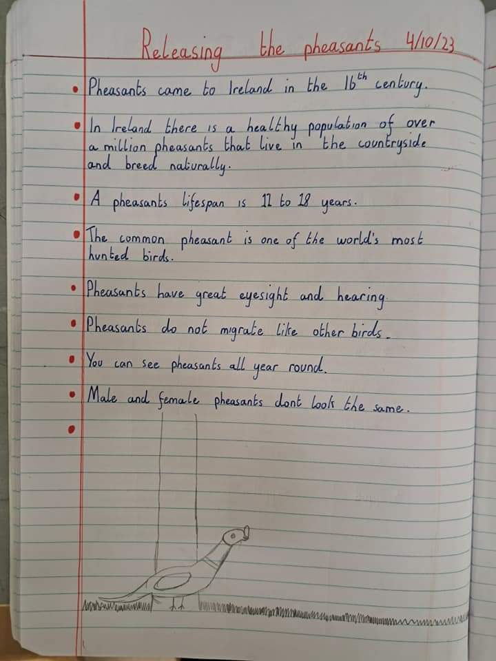 NARGC Jenkinstown had a busy week, and what a fantastic initiative. The pictures below show Clinstown National School, which recently released pheasants. The Club were in the school over the year and gave a talk on rearing and conservation, and they even gave the school an