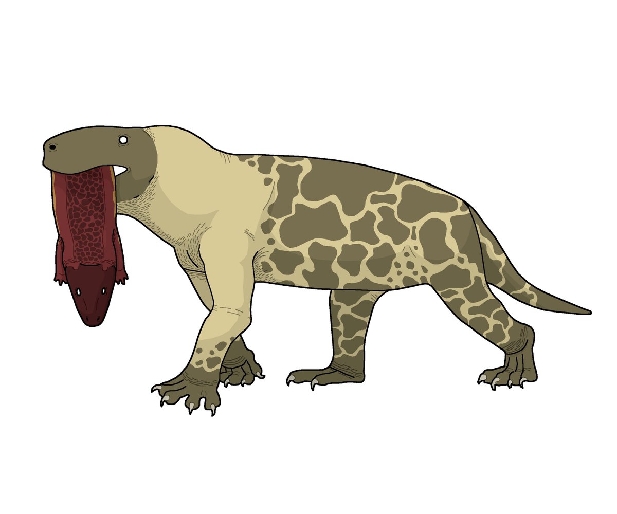 BatmanelVisigodo tweet media