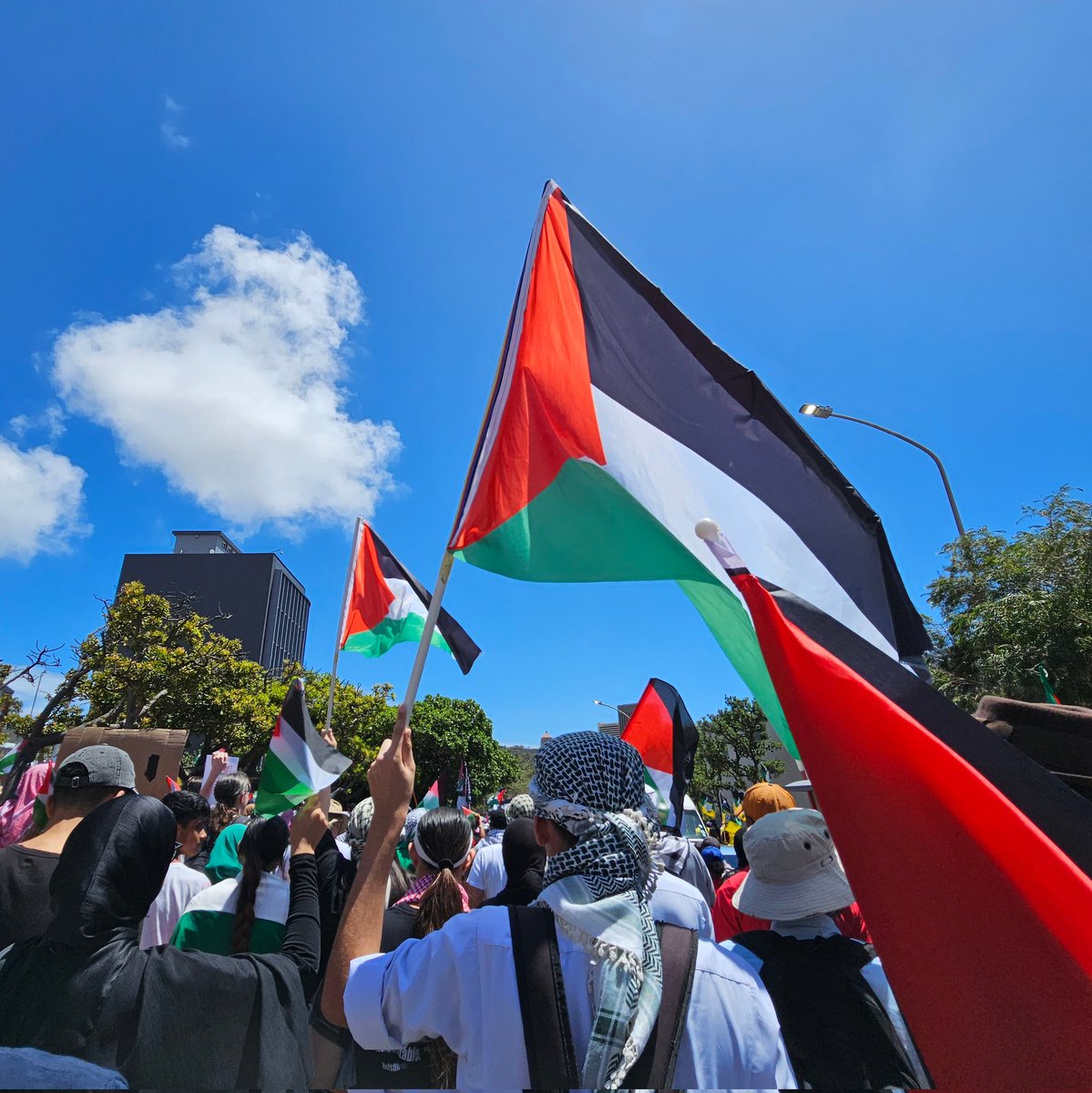 Ya_a_seen_Him's tweet photo. Cape Town has come out in its numbers for Palestine. https://t.co/V63c3AtDeG