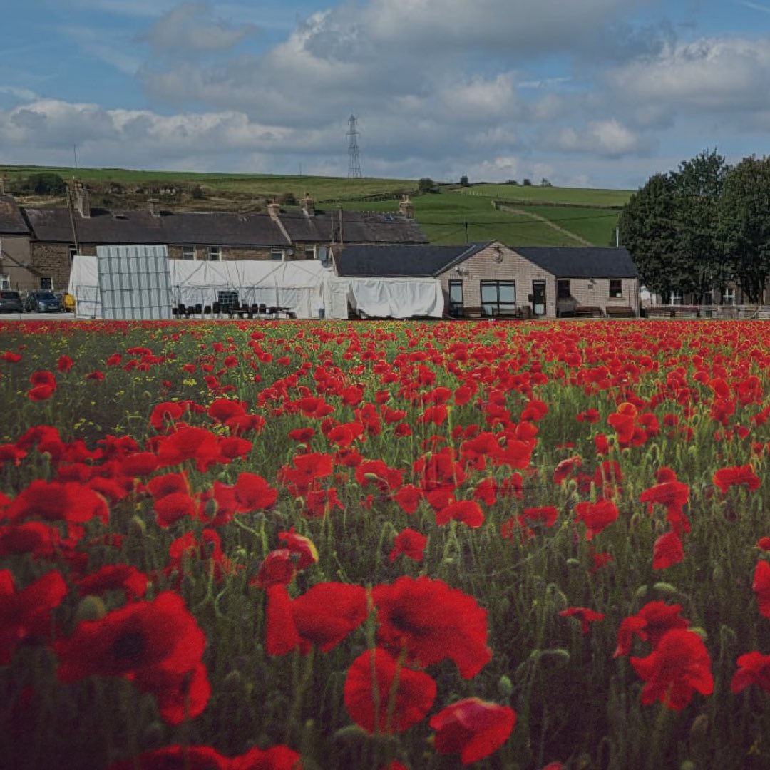 DoveHolesCC's tweet photo. Dove Holes Cricket Club Remembers
•
•
•
•
#doveholes #cricketclub #cricket #villagecricket #ecbcricket #derbyshire #cheshire #buxton #highpeak #upthedove #village #villagelife #community #armisticeday #remembranceday #lestweforget🌹 #poppy #lestweforget #rememberanceday2021 https://t.co/8WqYYmzYQD
