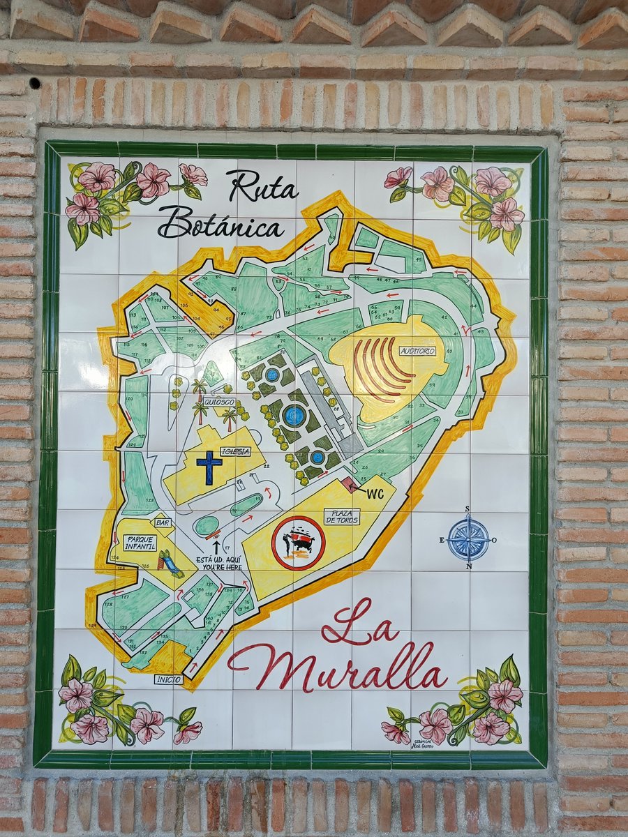 También hay una ruta Botánica en Mijas pero eso os lo cuento otro día🤣... @AndaluciaTB #atb8Málaga
