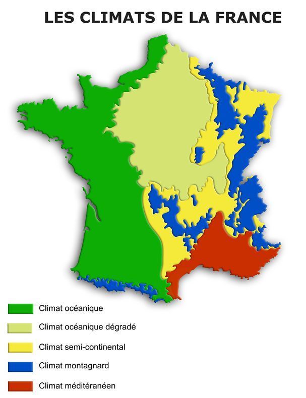 jaimelescartes's tweet image. Les climats de France #funwithmaps #mapmakers #maps