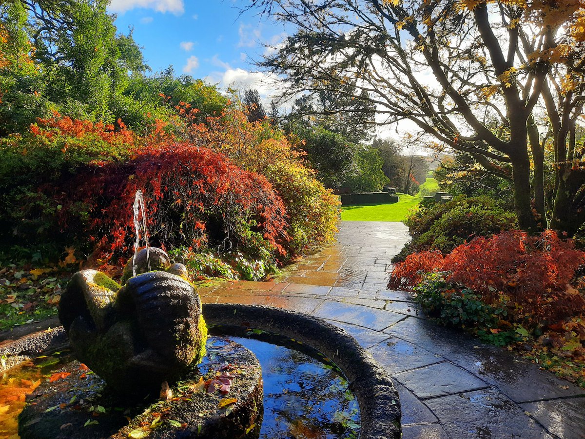 Morning light by Swan Fountain <a href="/DartingtonTrust/">Dartington Trust</a> #gardens <a href="/DevonGardens/">Devon Gardens Trust</a> <a href="/VisitDevon/">Visit Devon</a> <a href="/visitsouthdevon/">Visit South Devon</a> <a href="/garden_uk/">Garden Visitor UK</a>