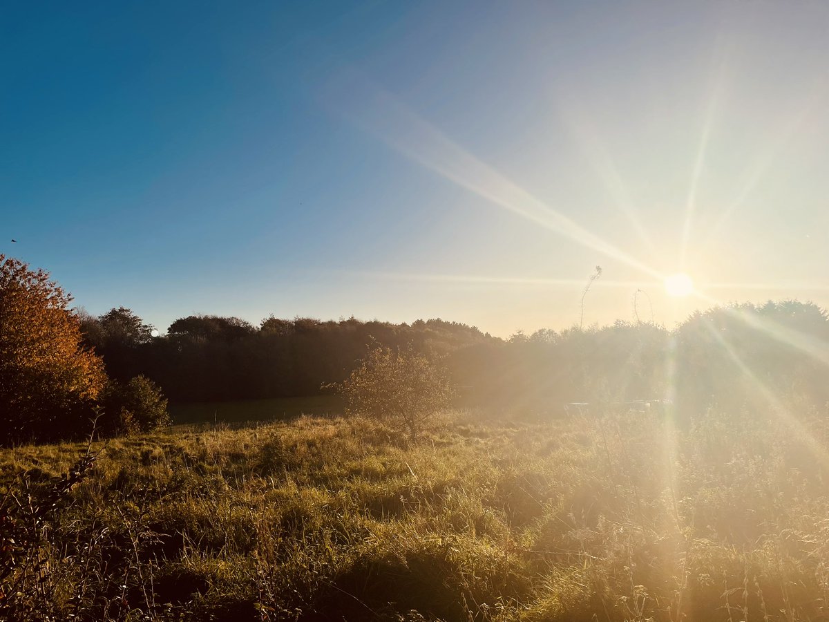 Heidimcurry's tweet photo. When people say to take a break from running, you need a rest, what they don’t understand is, this is my rest. 10 stunning miles down by the canal 😍
@absolute360 @UKRunChat @TeachersRunClub #AutumnRunning https://t.co/vVXKsMSjxY