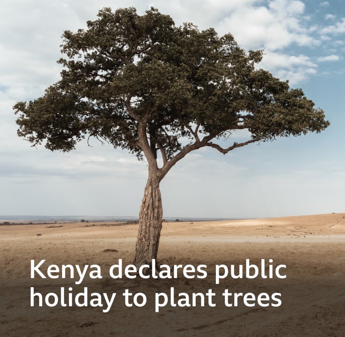 onjolo_kenya's tweet photo. My country Kenya 🇰🇪 https://t.co/MArldfQjXe