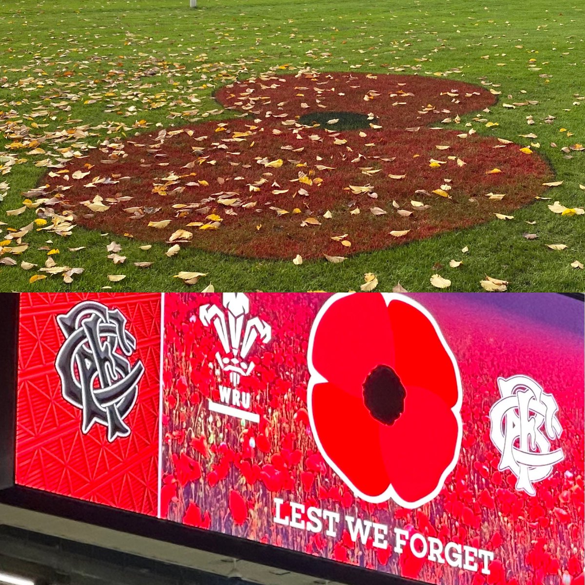 They shall grow not old, as we that are left grow old:
Age shall not weary them, nor the years condemn.
At the going down of the sun and in the morning
We will remember them.

#RemembranceDay2023