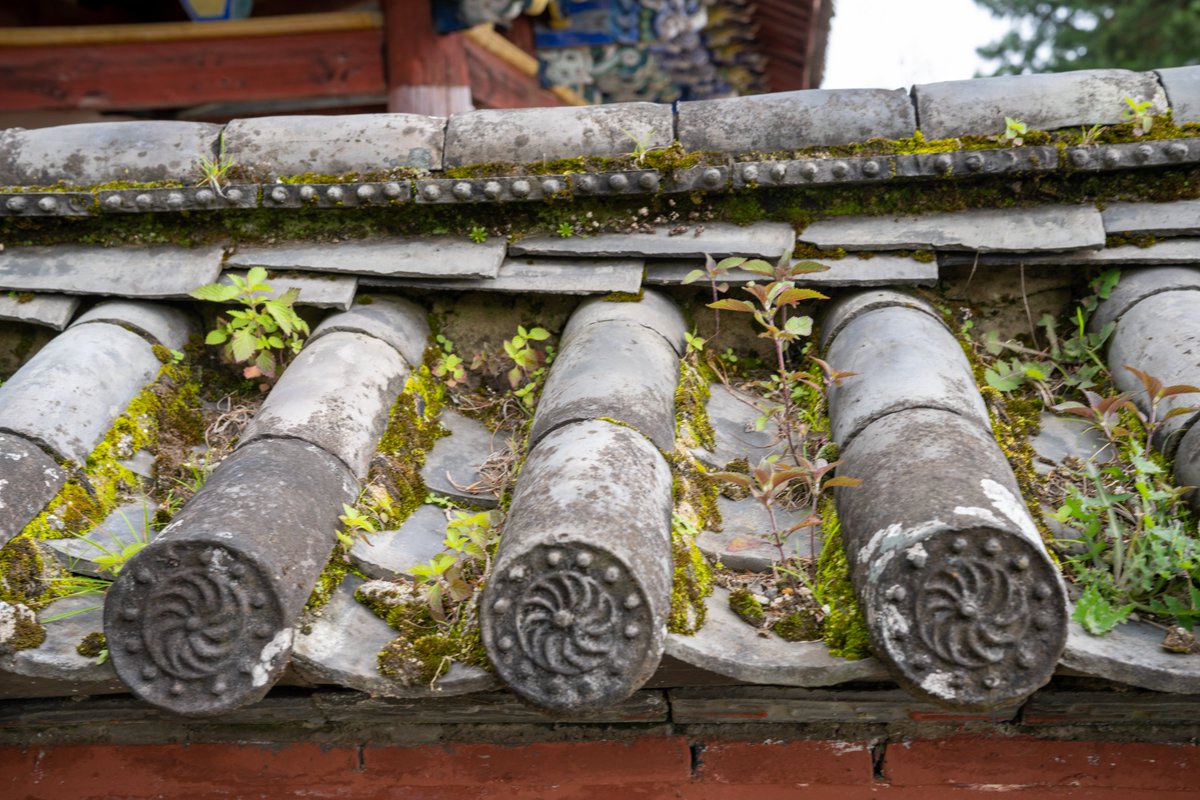 YeHangHarry's tweet image. Ancient Chinese roof tiles photo reference
Shot by me via Sony a7r4 
Find more in comment👇🏻 
#EnvironmentArt #TextureReference