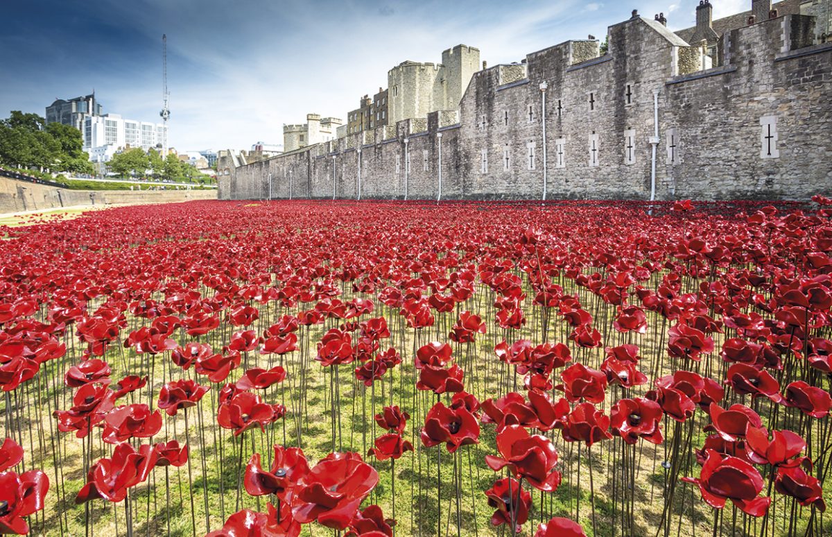 When you go home,
Tell them of us and say;
For your tomorrow
We gave our today.
#TwoMinuteSilence #ArmisticeDay