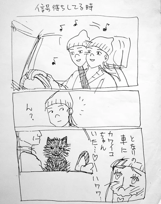 正直いうと運転席にワンコを抱いて乗るのは危ないと思うし、いくらかわいくてもケージなどに入れるべきとは思うが、とてつもないかわいさだった…
黒いポメっているのかな?
ポメかミックスか、ふと目が合って
惚れてまうやろ!と思った… 