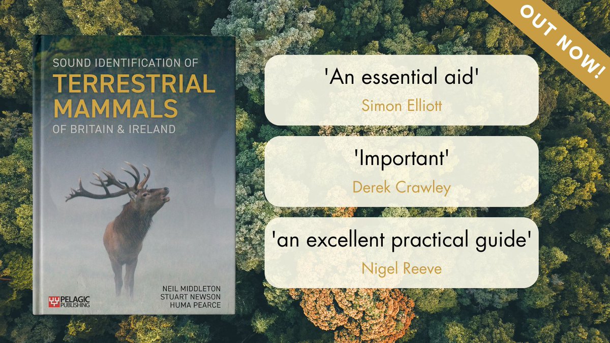 Pelagic Publishing (@pelagicpublish) on Twitter photo Sound Identification of Terrestrial Mammals of Britain and Ireland by <a href="/BatAbility/">Neil Middleton</a>, @NewsonStuart and Huma Pearce is NOW AVAILABLE!
📖 Order your copy at loom.ly/iKq6zLg
#acousticidentification #mammalsurvey #mammalsounds Sound Identification of Terrestrial Mammals of Britain and Ireland by <a href="/BatAbility/">Neil Middleton</a>, @NewsonStuart and Huma Pearce is NOW AVAILABLE!
📖 Order your copy at loom.ly/iKq6zLg
#acousticidentification #mammalsurvey #mammalsounds
