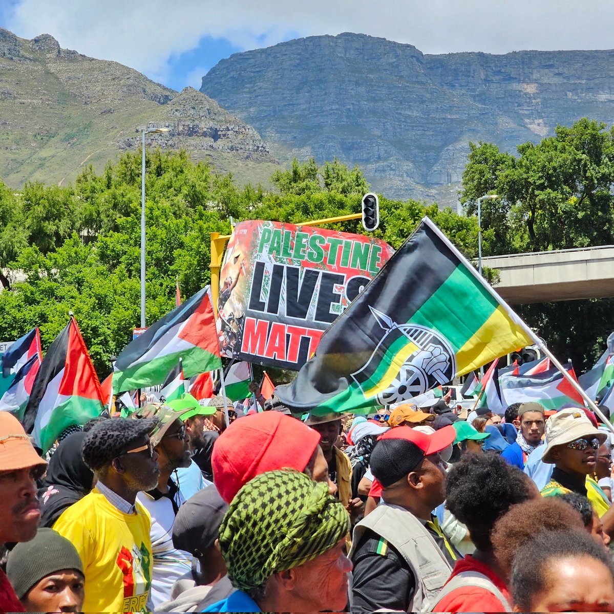 Ya_a_seen_Him's tweet photo. Cape Town has come out in its numbers for Palestine. https://t.co/V63c3AtDeG