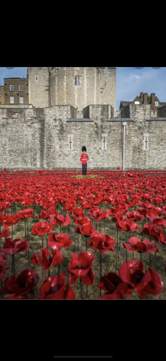 Lest we forget
#ArmisticeDay