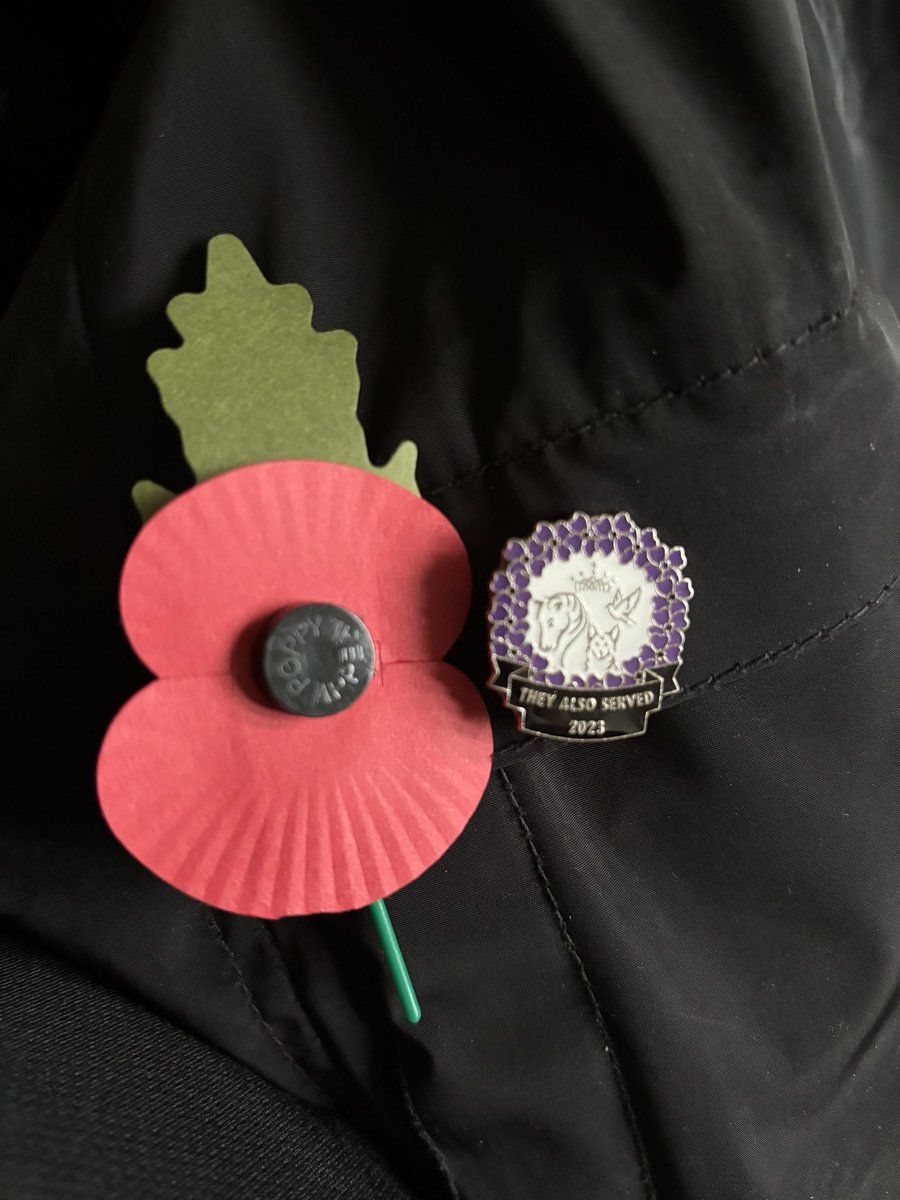 #WeWillRememberThem #RememberanceDay #Theyalsoserved 
@MA_PurplePoppy