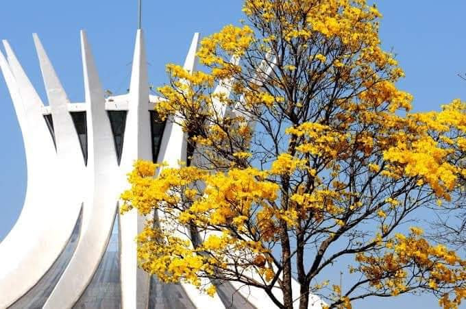 Bom dia sábado abençoado para todos 🙏🤍🤍🤍