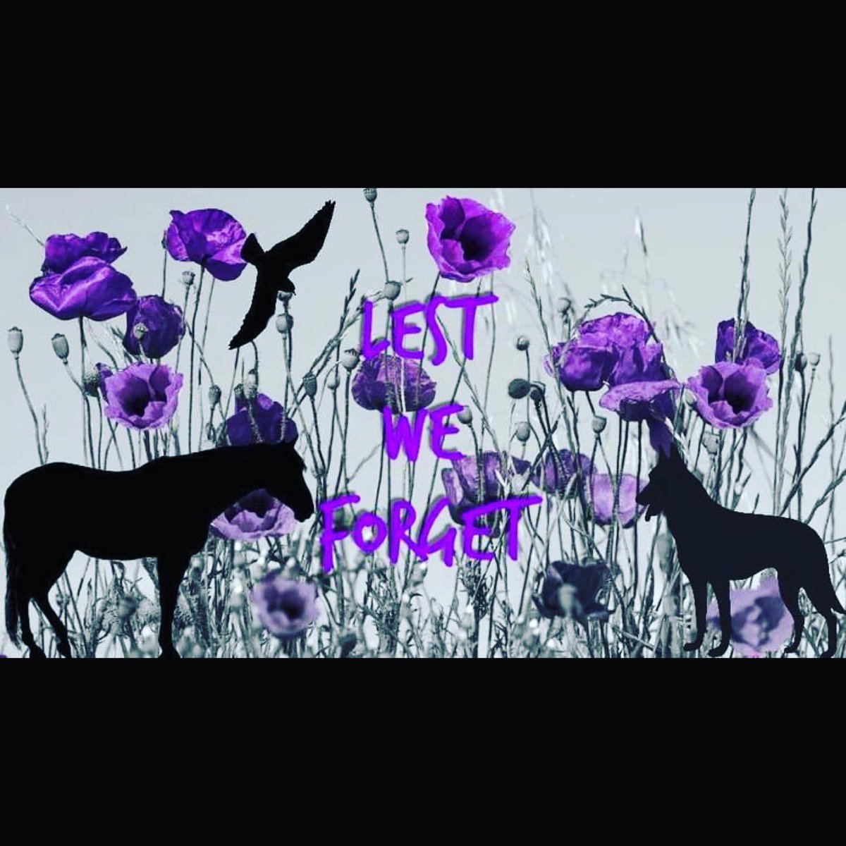 #RememberanceDay #111111 #LestWeForget #LestWeForget2023