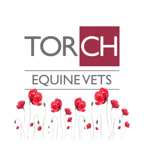 TorchEquineVets's tweet photo. https://t.co/HsUHazBzYH