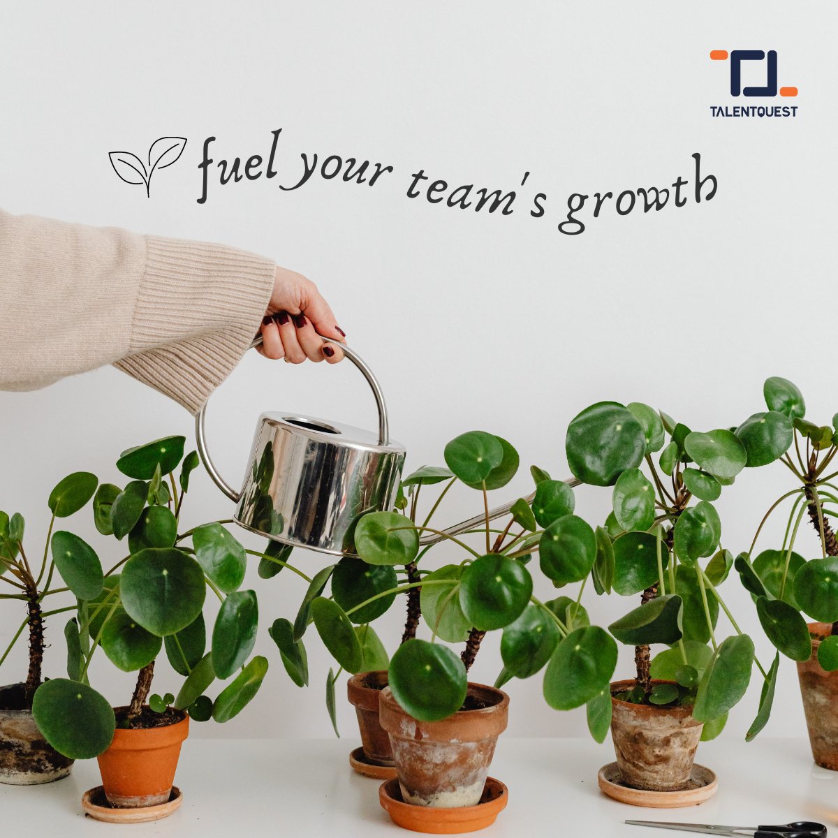 TalentQuest's tweet image. 🎯 Elevate employee potential with TalentQuest's feedback-driven growth strategies. 🗣️ Shape a culture of excellence! #ContinuousFeedback #EmployeeGrowth #TalentQuest