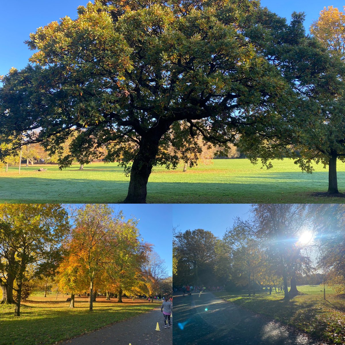 Beautiful autumnal #birkenheadpark 🍁🍂🏃‍♀️☀️ @bheadparkrun #loveparkrun @parkrunUK