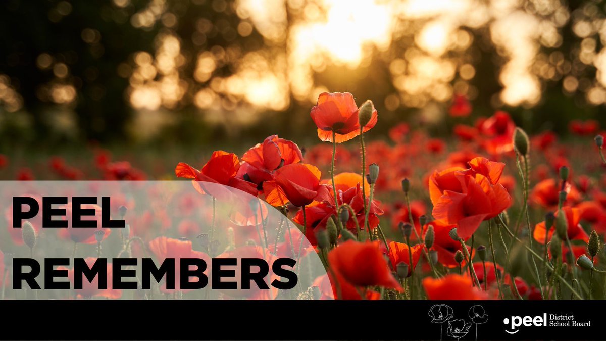 Today, as we should everyday, we take the time to honour and remember the courageous Canadians of diverse identities who through their service and sacrifice have given us our peace and freedom. Wherever you are, please observe a moment of silence at 11 a.m. today. #PeelRemembers
