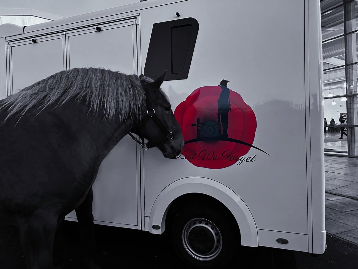 Vicky Routledge-Hine (@vicky_rhine) on Twitter photo 