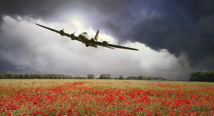 BloudMartin's tweet photo. Lest We Forget https://t.co/Sw8uaWfbdo