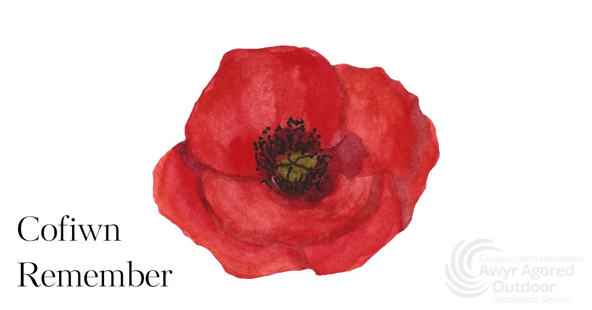ParkPembrey's tweet photo. Ni a'u cofiwn hwn
Lest we forget
#DyddyCofio #pabi #remembranceday #lestweforget #remembrance #poppy https://t.co/NXDMH4fLX4