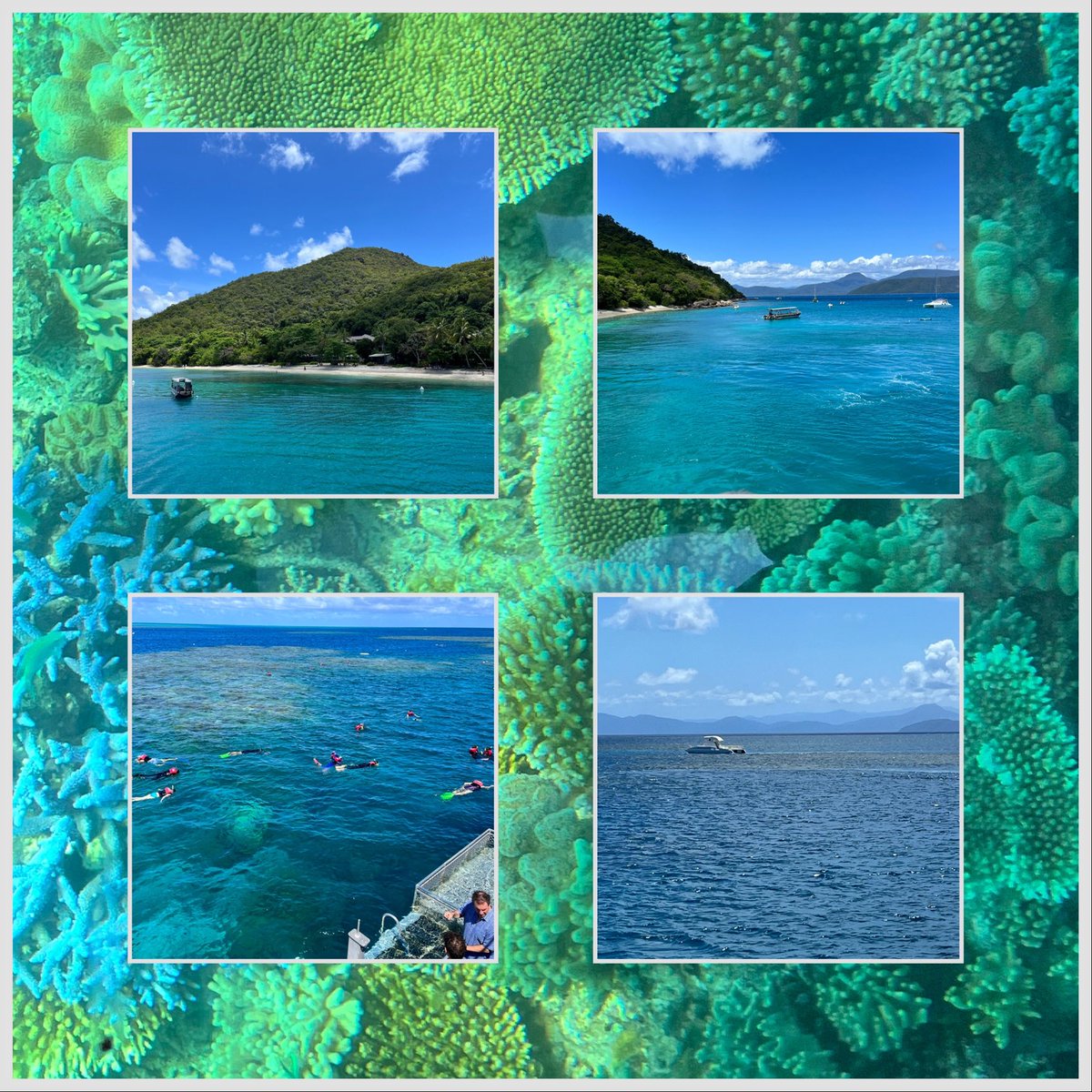 bkuni's tweet photo. Impressionen vom Great Barrier Reef. Mangels passender Kamera bleiben die Eindrücke der Unterwasserwelt im meinem Kopf. Es ist fantastisch!
#downundertour #aatkings https://t.co/c4mgjhoEGG
