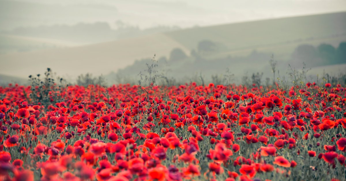 KEWAccountants's tweet photo. We will remember them ❤️ https://t.co/3Jh4HwAWHf