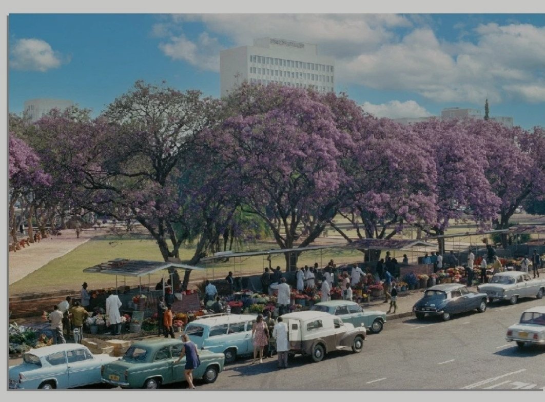 R_T0M's tweet photo. Rhodesians Never Die
#IndependenceDay #11Novembre #rhodesia #Bulawayo https://t.co/4Ikv3guja0