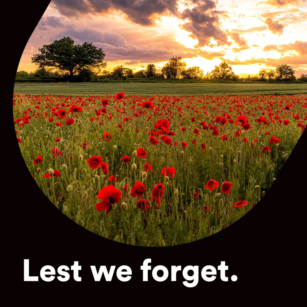 We will remember them.
