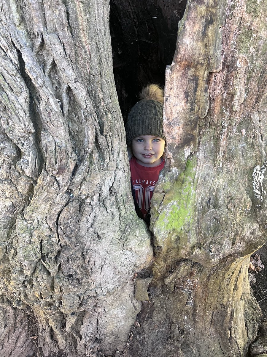 What a day for it ☀️ 

Bit of fresh air, sunshine, and exploring with my little monsters