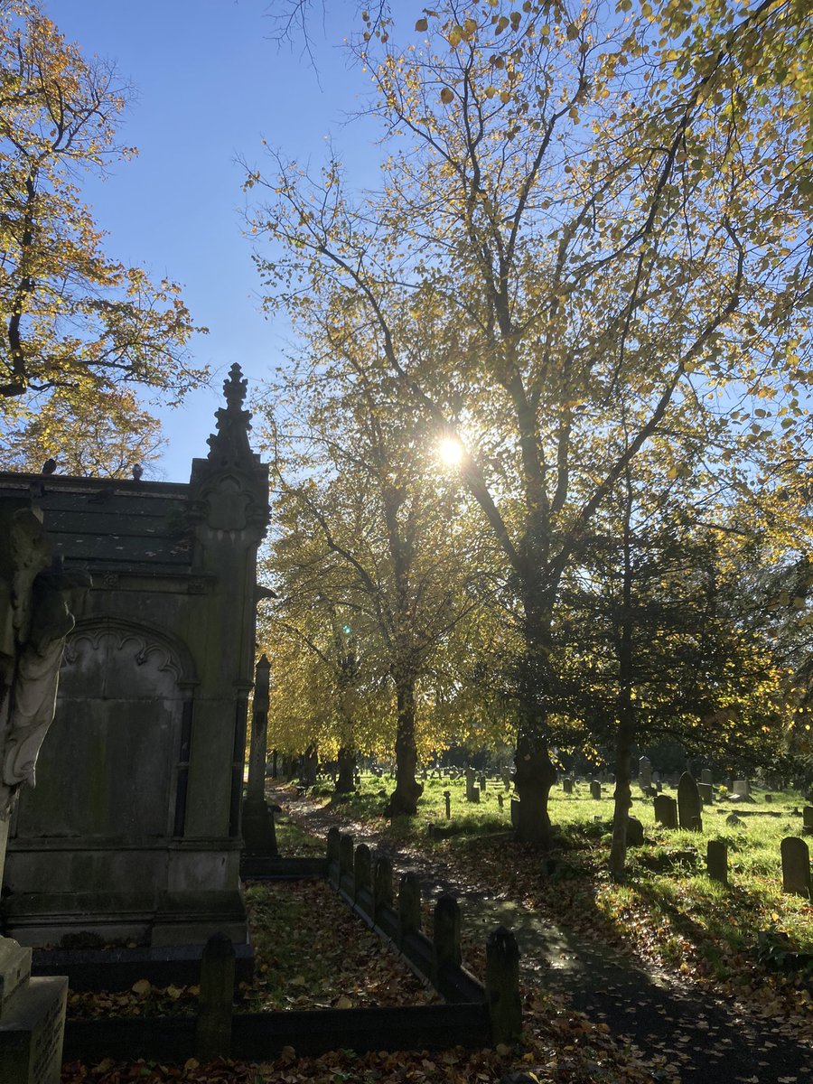Brompton Cemetery.  Beautiful.  <a href="/theroyalparks/">The Royal Parks</a> <a href="/FOBCOfficial/">Friends of Brompton</a>