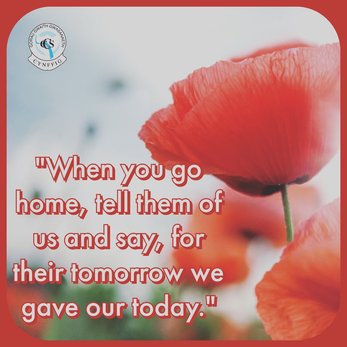 cerddcynffig's tweet photo. We will remember them. #armisticeday https://t.co/3bzDJw1c6y
