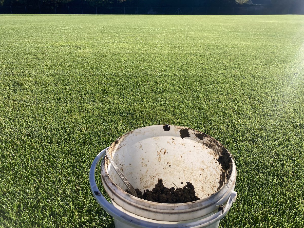 Jamie Foyster tweet media