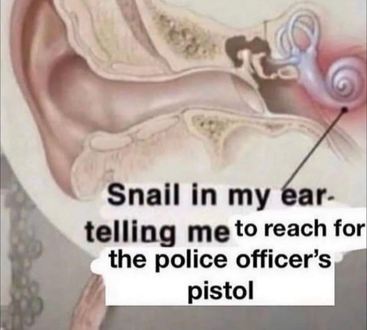 nocontextmemes's tweet photo. https://t.co/AoABPuQwb5