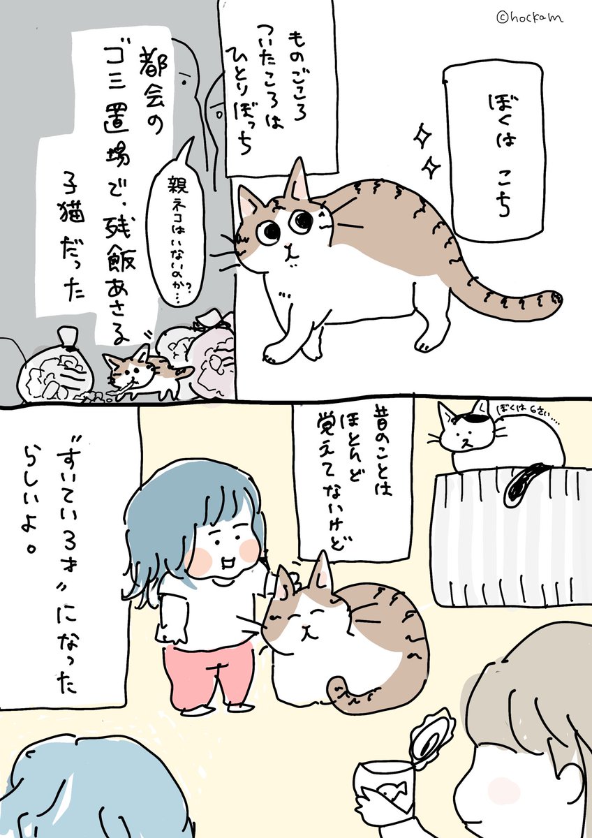 1匹でゴミを漁っていたノラ子猫。保護された頃に11月生まれと推定されたそうなので、覚えやすくポッキーの日を誕生日としました。 
母猫がどこかで生きていたら「貴方の子はこんなに元気で愛されてますよ」と教えたい。

#保護猫 #漫画がよめるハッシュタグ 