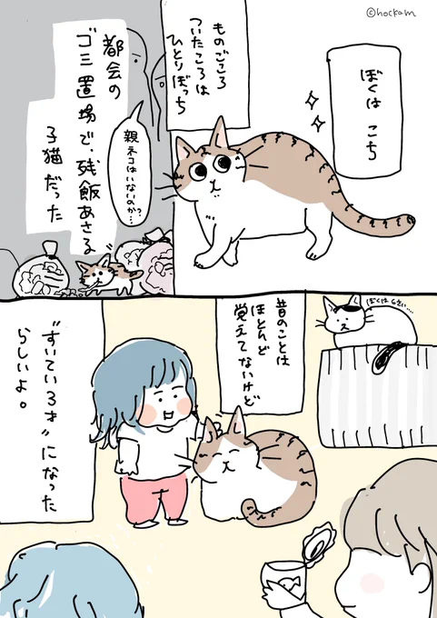 1匹でゴミを漁っていたノラ子猫。保護された頃に11月生まれと推定されたそうなので、覚えやすくポッキーの日を誕生日としました。 
母猫がどこかで生きていたら「貴方の子はこんなに元気で愛されてますよ」と教えたい。

#保護猫 #漫画がよめるハッシュタグ 