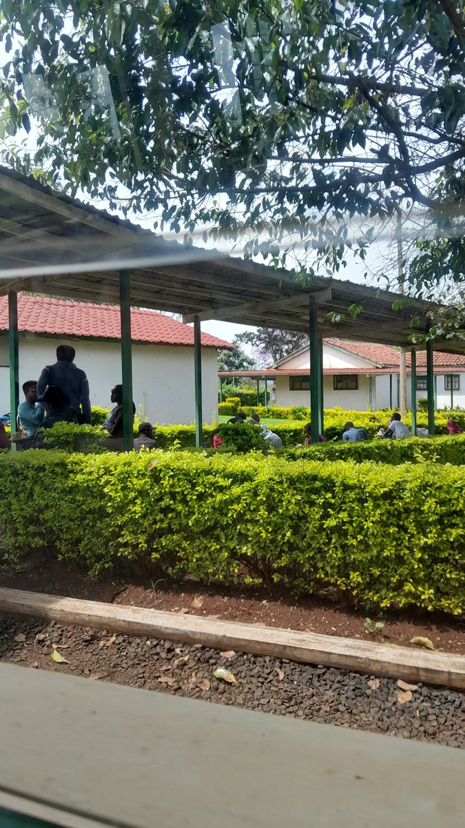 ahaa! ukijua chenye ilikua inahappen apa we ni legend😂
#DevFestMtKenya